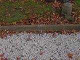 image of grave number 232021